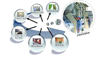 健康食品質(zhì)量追溯系統(tǒng)定制開發(fā) 從程序到系統(tǒng)的全流程解析